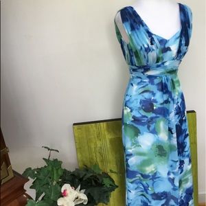 Liz Fields maxi dress